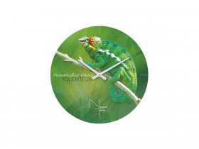 Часы настенные Nicole Time NT503 в Мамоново - mamonovo.mebel-nsk.ru | фото
