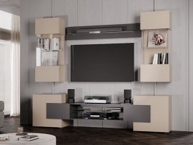 Гостиная Фэнтези (кашемир/графит) в Мамоново - mamonovo.mebel-nsk.ru | фото