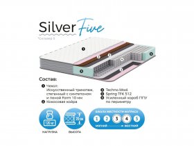 Матрас Silver Five в Мамоново - mamonovo.mebel-nsk.ru | фото