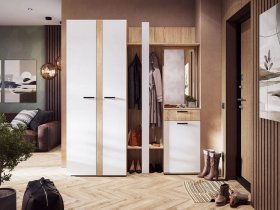 Модульная прихожая Санса (дуб сонома/белый) в Мамоново - mamonovo.mebel-nsk.ru | фото